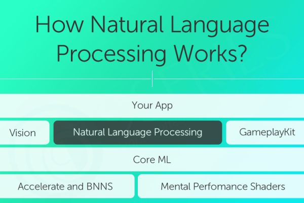 How Natural Language Processing Works?