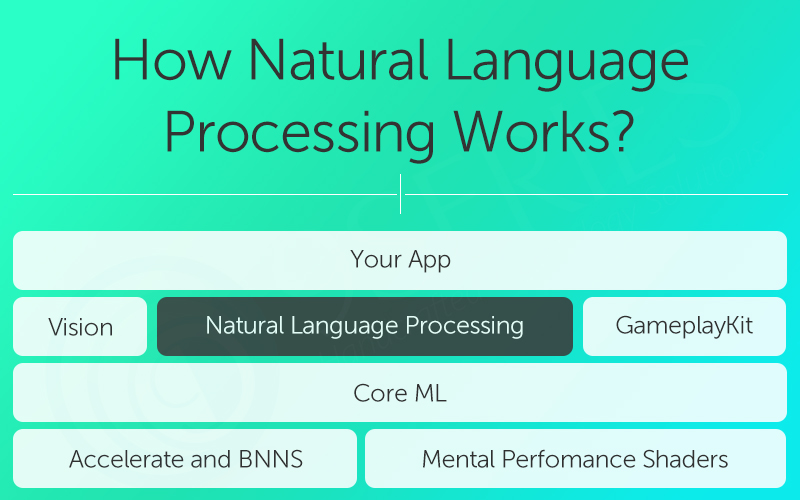 How Natural Language Processing Works?